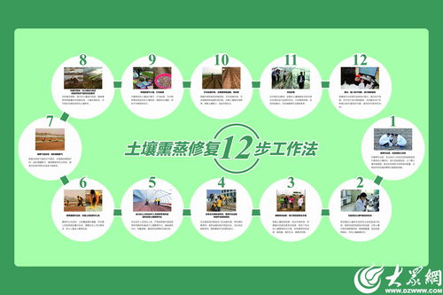濰坊模式顯成效 全國首個生姜土壤熏蒸服務規范出爐，信息技術賦能農業新篇章